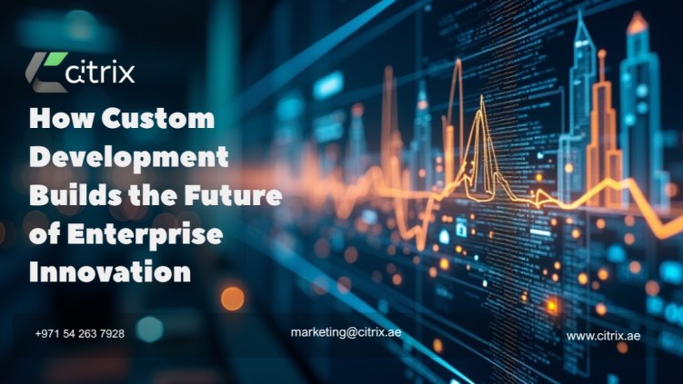 How citrix project development consultant llc Supports Investors